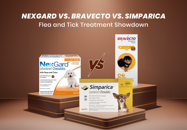 Choosing Between Bravecto and Nexgard: Comparative Analysis